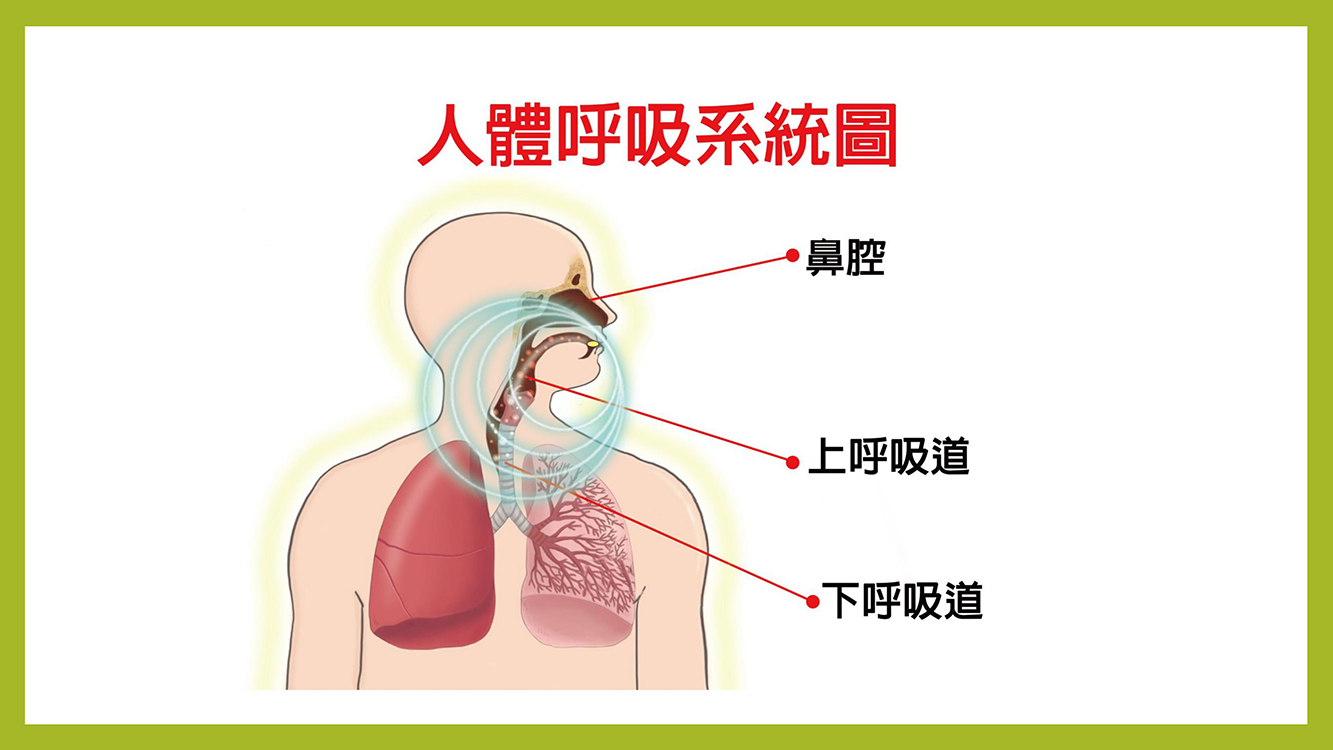 費真清_頁面_07153416358